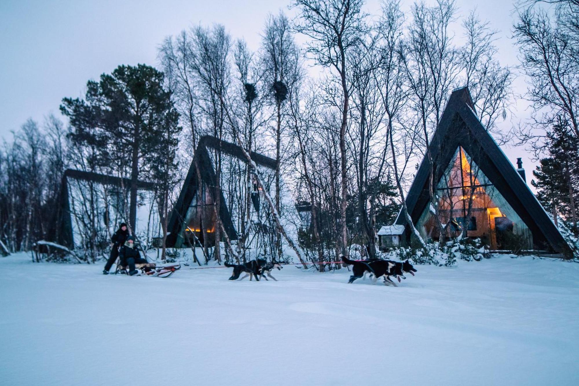Holmen Husky Lodge Alta Eksteriør billede
