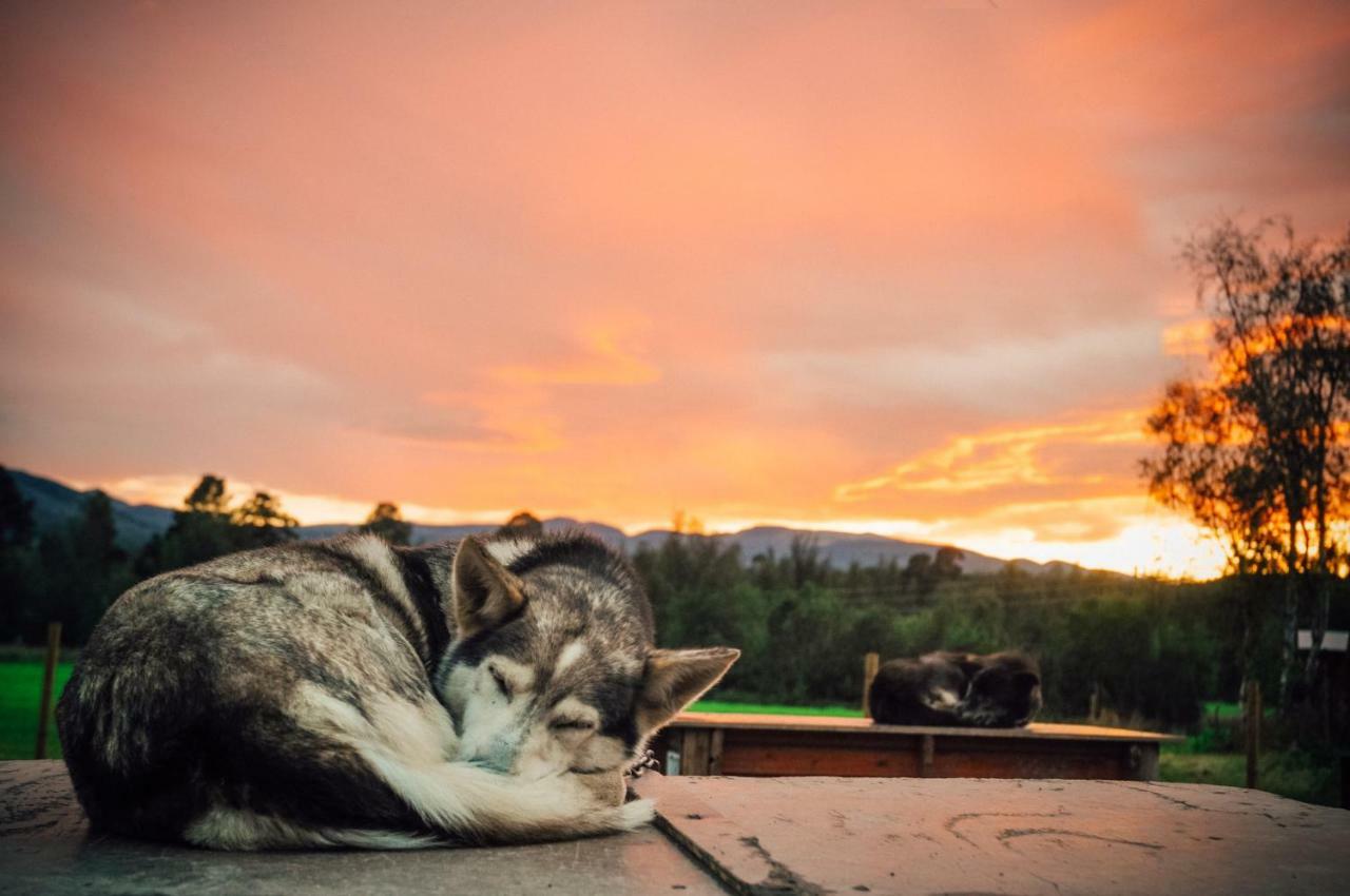 Holmen Husky Lodge Alta Eksteriør billede